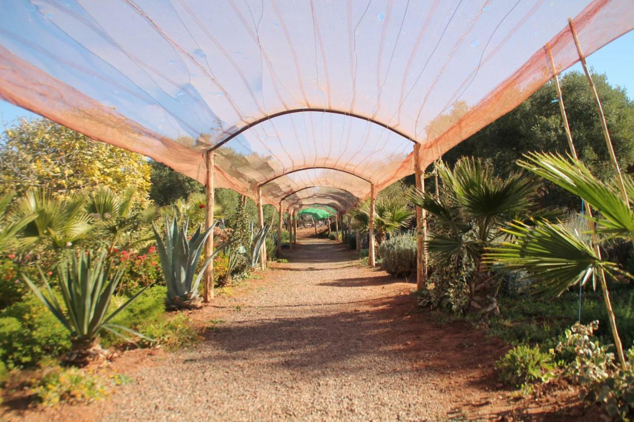 Ecolodge Espace Tamount Demnat Exteriör bild